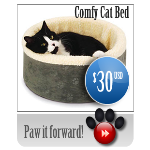 paw30