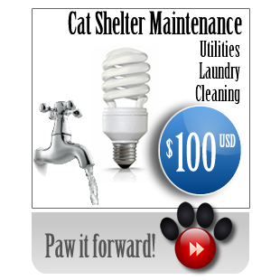 paw100