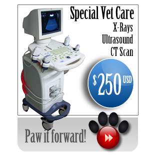 paw300