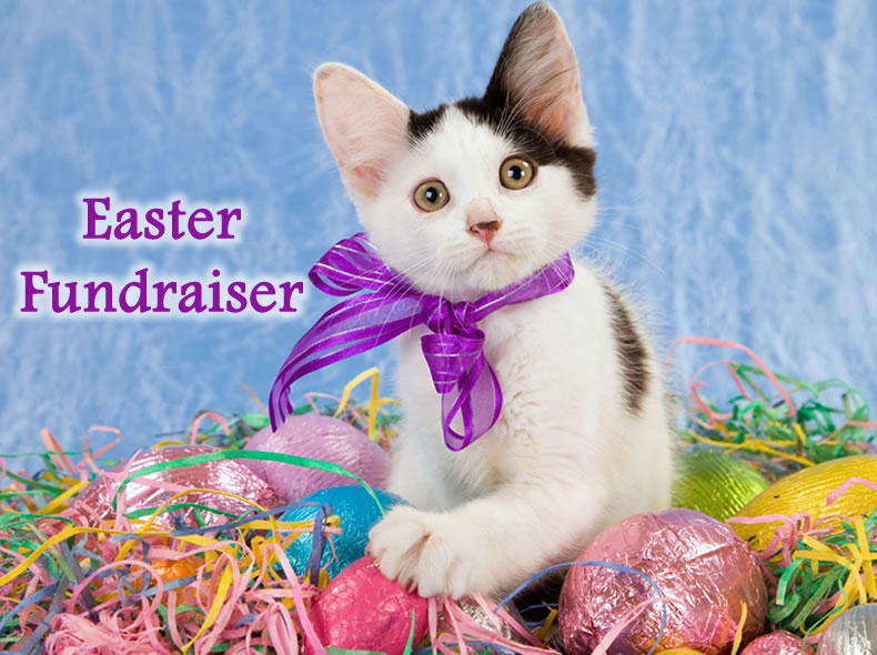 Easter Fundraiser