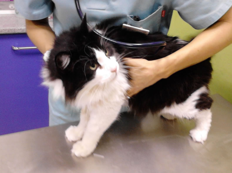 Hope & TJ at the vet