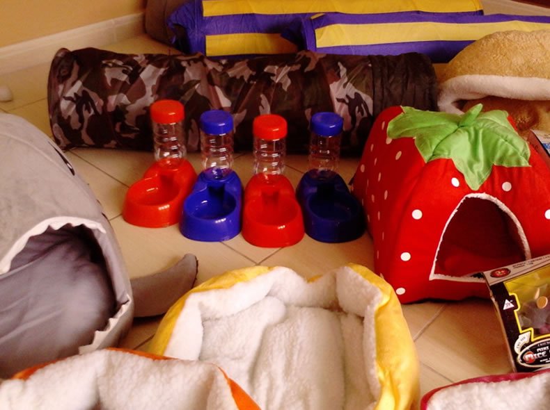 Supplies already here!