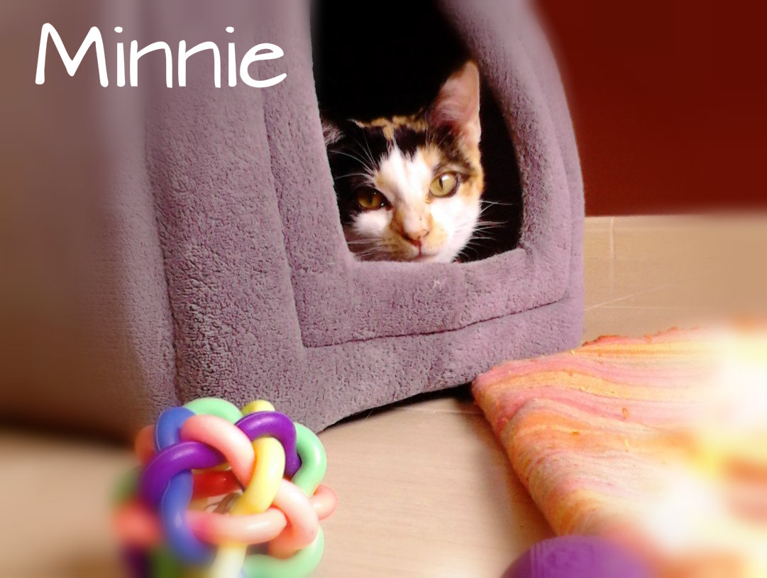 RIP Minnie