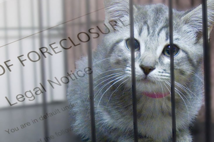 foreclosure pets
