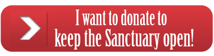 I want to donate to keep the Sanctuary open!