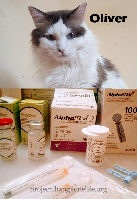 Oliver's diabetes treatment
