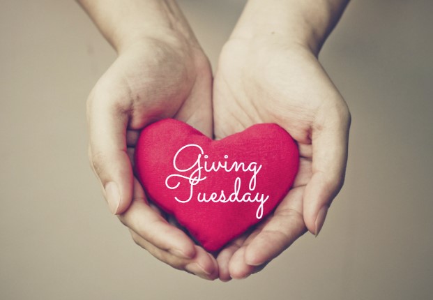 Help us raise some funds this Giving Tuesday. Chip in with little something and help us carry on!