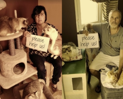 Legal battle to survive. car Sanctuary at risk of forced eviction.