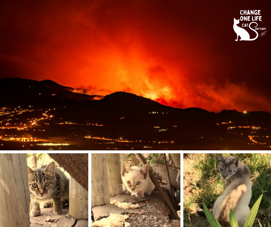 Wildfires spreading closer to our area