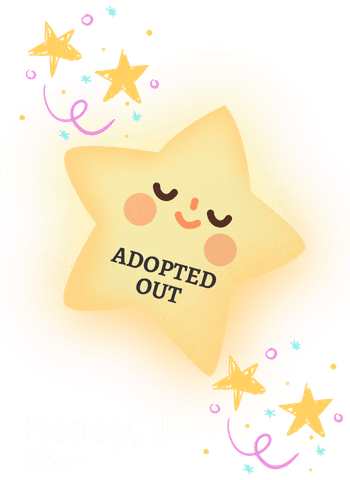 ADOPTED OUT