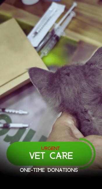 URGENT VET CARE ONETIME DONATIONS 2026